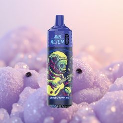 JNR Alien 10000 Blåbær På Is med Hurtig Opladning og Mesh Coil