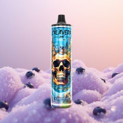 JNR Calavera 11000 Blåbær Is 850mAh 21ml