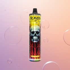 JNR Calavera 11000 Fersken Mango Type-C 850mAh