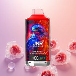 JNR Falcon X 18000 Jordbær Vandmelon Is Dual Mesh 24ml Digital