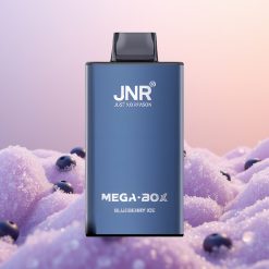 JNR Mega Box 25000 Blåbær Is Dual Mesh & Type-C